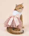 Golden cat wearing a pink heart-print tulle pet dress with white lace bodice, satin bow and heart jewel