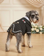 Salt-and-pepper Schnauzer wearing the Midnight Black pinstripe pet tailcoat in an elegant wedding setting