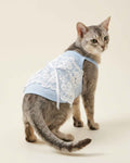 Grey cat wearing the Powder Blue Floral Lace Pet Dress in vertical lace style, back view showing white ribbon bow.