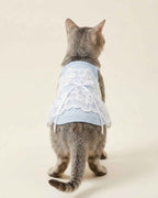 Full back view showing the white floral lace overlay and tie ribbon on the Powder Blue Floral Lace Pet Dress.