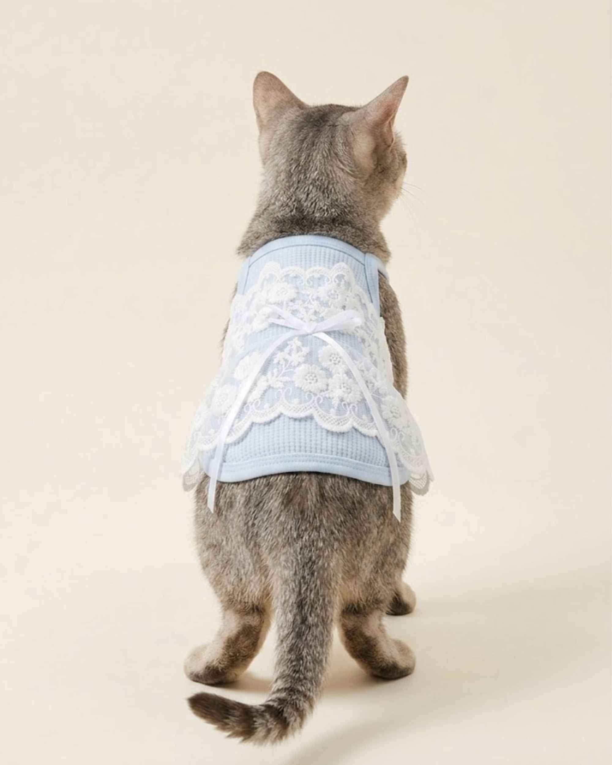 Full back view showing the white floral lace overlay and tie ribbon on the Powder Blue Floral Lace Pet Dress.