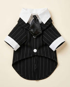 Front flat lay of the Midnight Black pet suit with fine pinstripes, white pointed collar, cuffs and black satin-look necktie