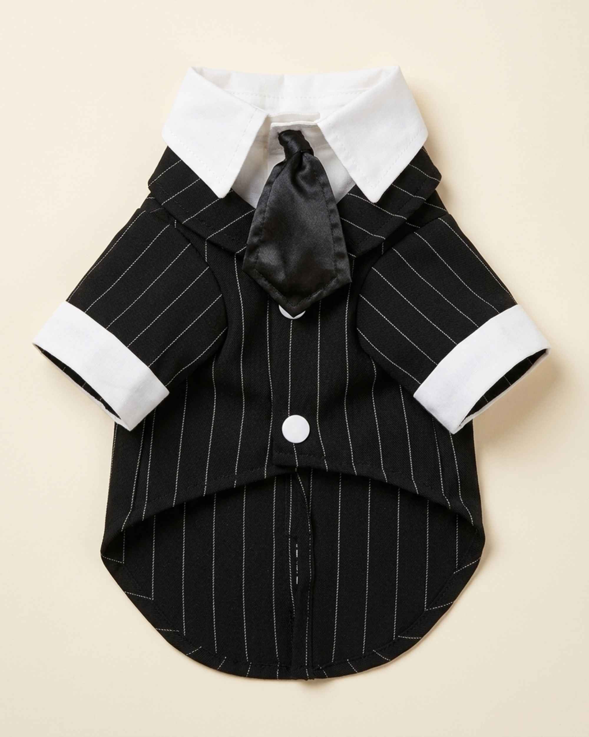 Front flat lay of the Midnight Black pet suit with fine pinstripes, white pointed collar, cuffs and black satin-look necktie