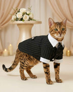 Bengal cat wearing the Midnight Black pinstripe necktie pet suit in an elegant ivory wedding and celebration setting