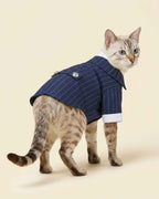 Snow Bengal cat wearing the Navy Blue Regent Pinstripe Pet Suit with white cuffs, fine pinstripes and silver back buttons
