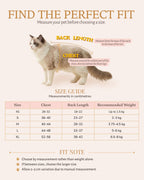 Size guide for the Enchanted Aqua Satin Pet Dress showing how to measure a cat’s chest and back length with measurements from XS to XL