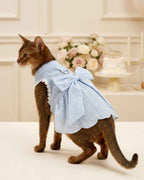 Ruddy Abyssinian cat wearing a sky blue bow harness dress in an elegant celebration setting with flowers and cake