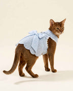 Ruddy Abyssinian cat wearing a sky blue pet harness dress with a large back bow, scalloped skirt and silver D-ring
