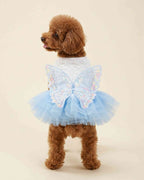 Front closure flat lay of a white lace pet dress with three snap buttons and a blue tulle skirt.