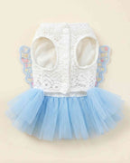 Brown toy poodle standing in a sky blue butterfly pet dress, shown directly from behind.