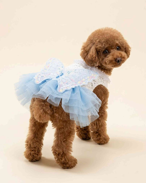 Brown toy poodle wearing a sky blue butterfly pet dress, shown from a rear three-quarter angle.