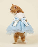 Orange and white cat wearing a sky blue pet dress, showing the layered ribbon bow and full skirt from the back.