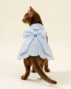Full back view of a ruddy Abyssinian cat wearing a sky blue harness dress with an oversized bow, long ribbon tails and D-ring
