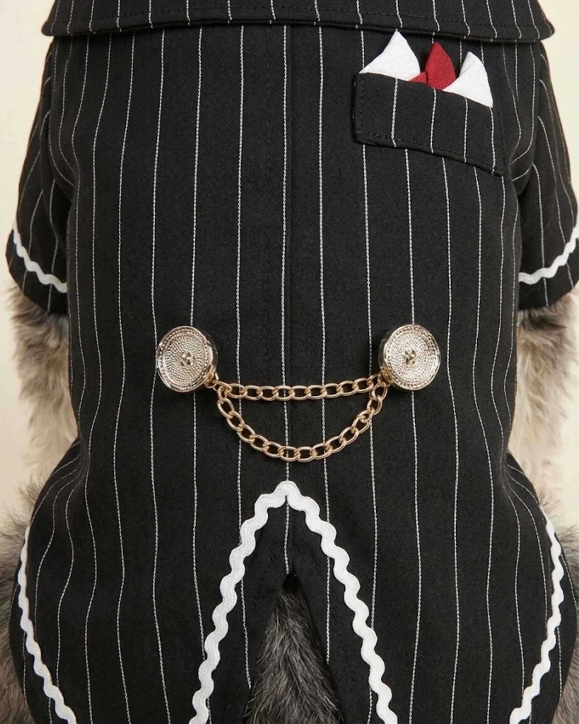 Close-up of the Midnight Black pinstripe tailcoat with metallic buttons, double gold-tone chain and pocket detail