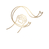 Pet2Cute - Home