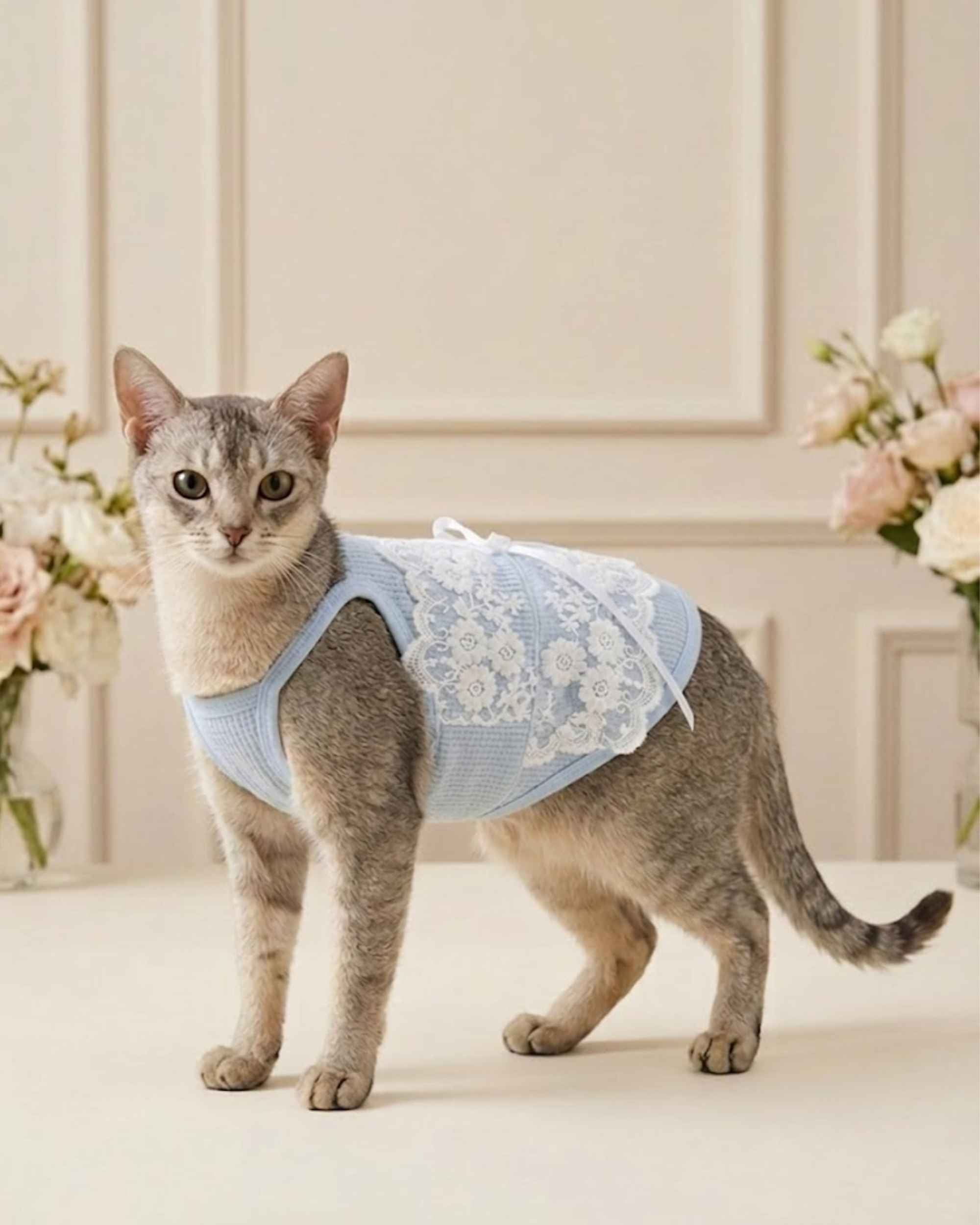 Powder Blue Floral Lace Pet Dress